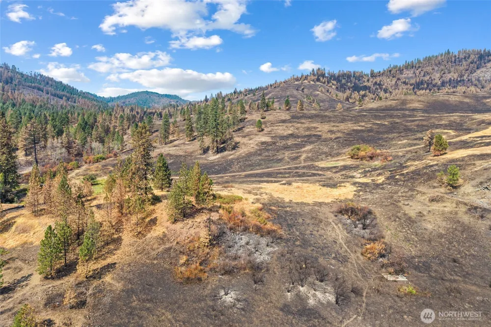 329 X Silver Creek Road Inchelium, WA 99138