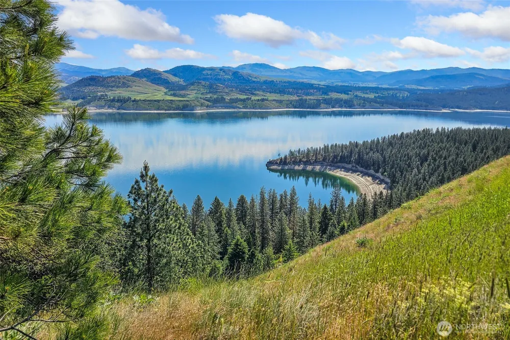 329 X Silver Creek Road Inchelium, WA 99138
