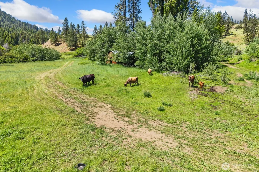 329 X Silver Creek Road Inchelium, WA 99138
