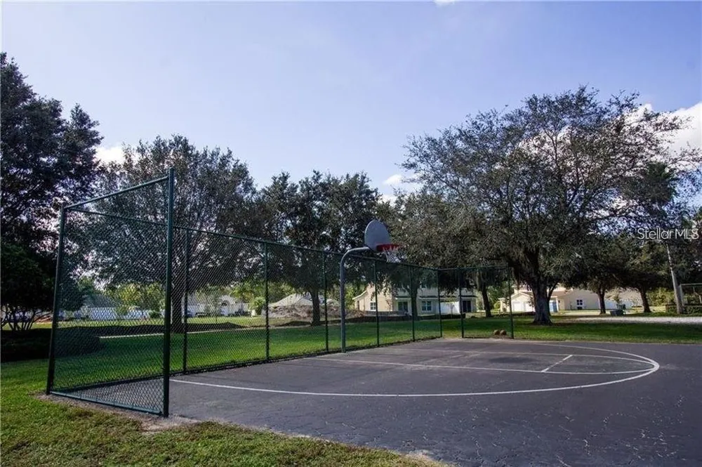 669 LAKE SHORE PARKWAY Davenport, FL 33896