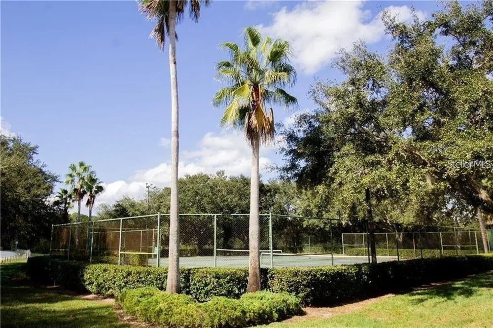 669 LAKE SHORE PARKWAY Davenport, FL 33896