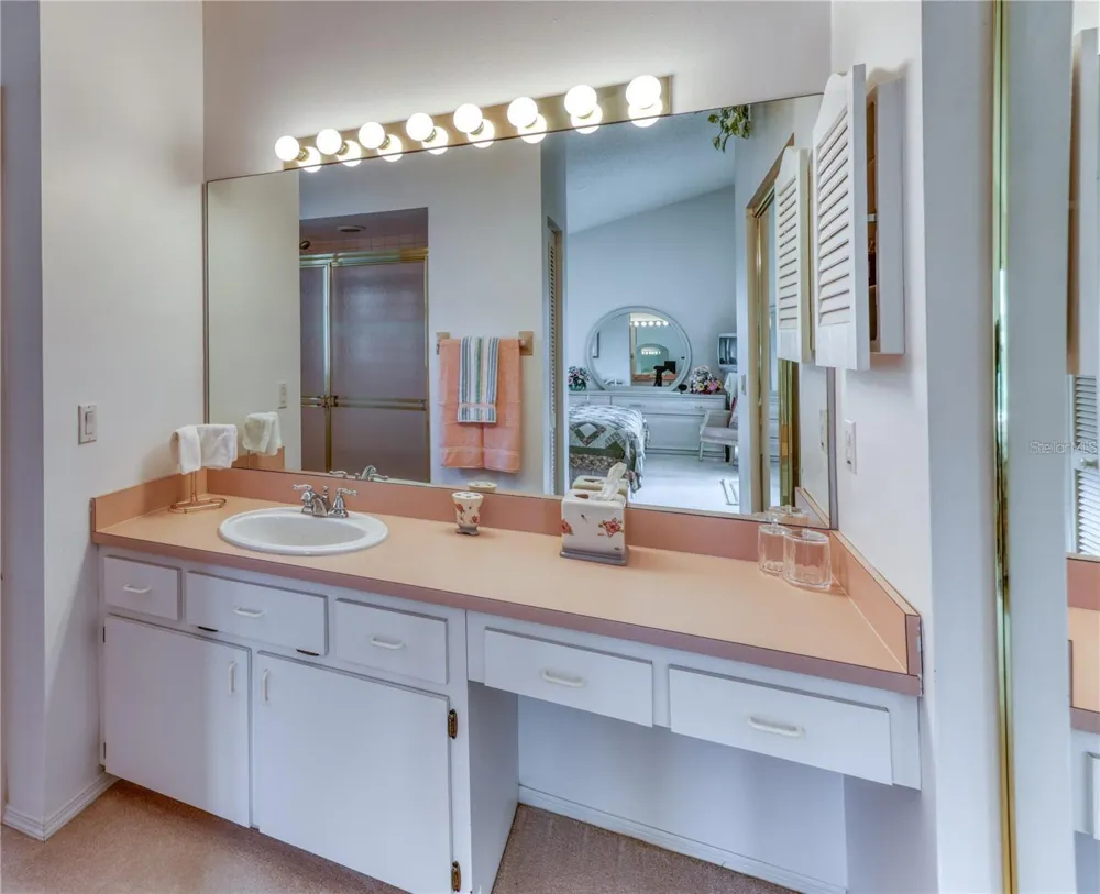 718 LIGHTHOUSE DRIVE Tarpon Springs, FL 34689