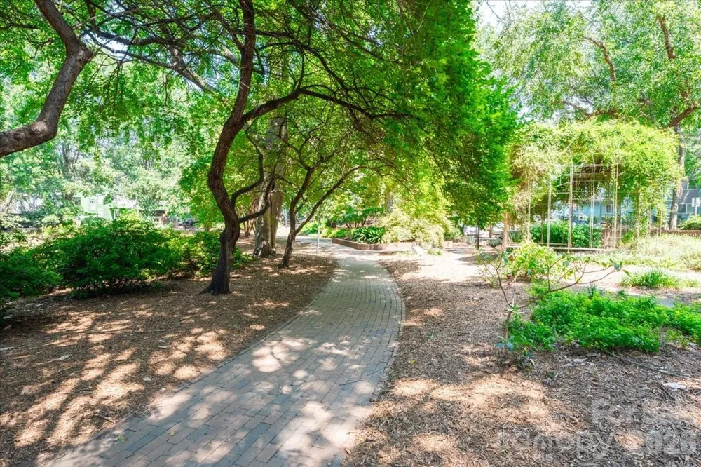 419 W 8th Street #59 Charlotte, NC 28202