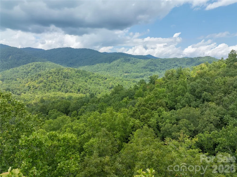 7777 Saw Branch Road Candler, NC 28715