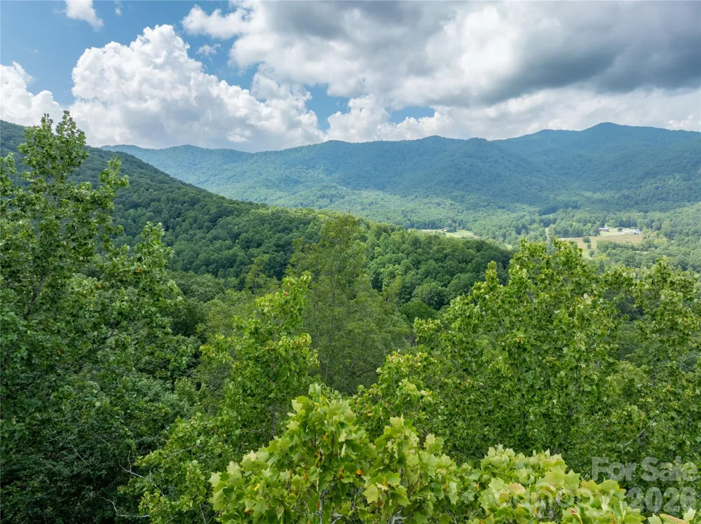 7777 Saw Branch Road Candler, NC 28715