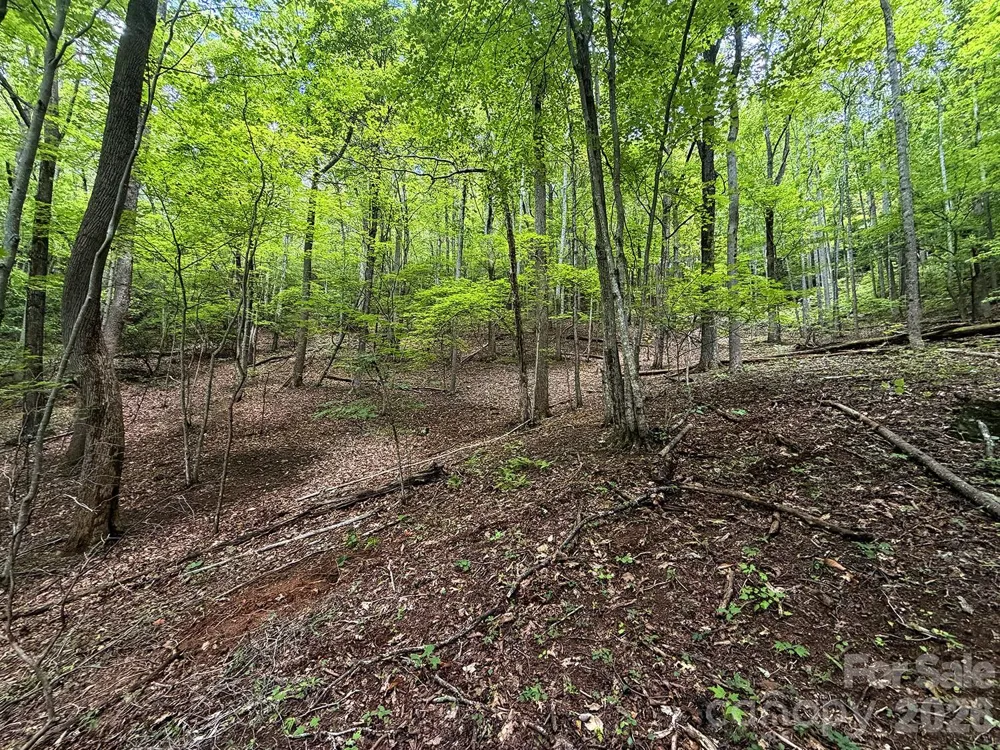 7777 Saw Branch Road Candler, NC 28715