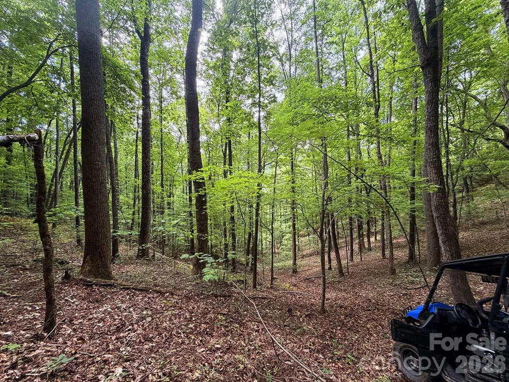 7777 Saw Branch Road Candler, NC 28715