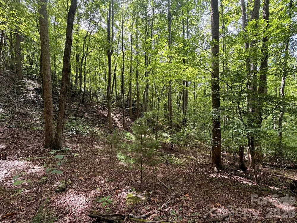 7777 Saw Branch Road Candler, NC 28715