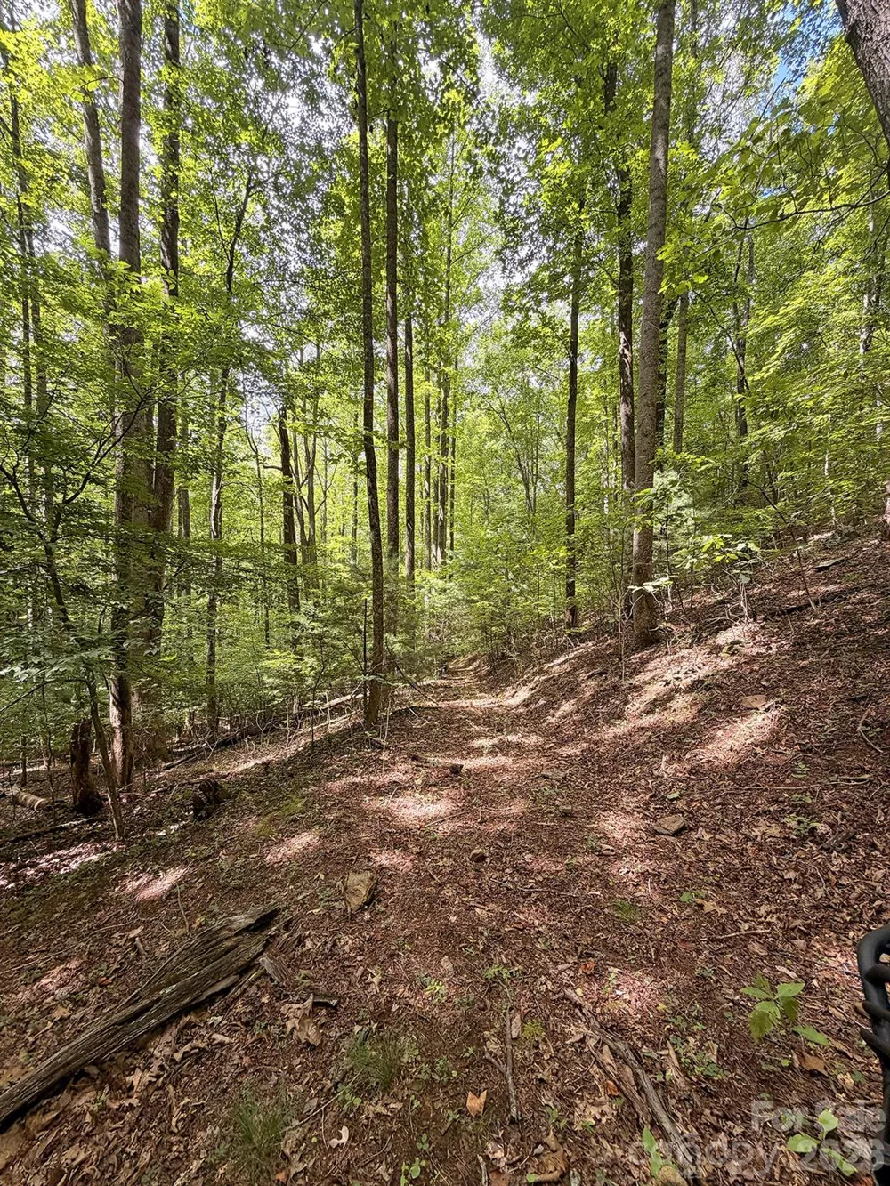 7777 Saw Branch Road Candler, NC 28715