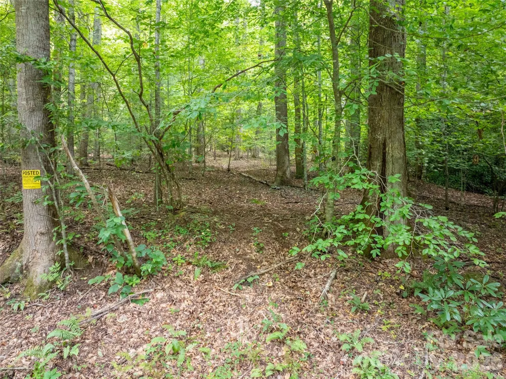 7777 Saw Branch Road Candler, NC 28715