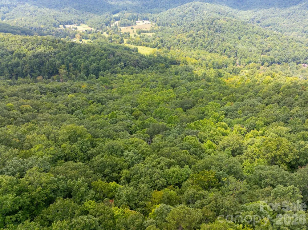 7777 Saw Branch Road Candler, NC 28715