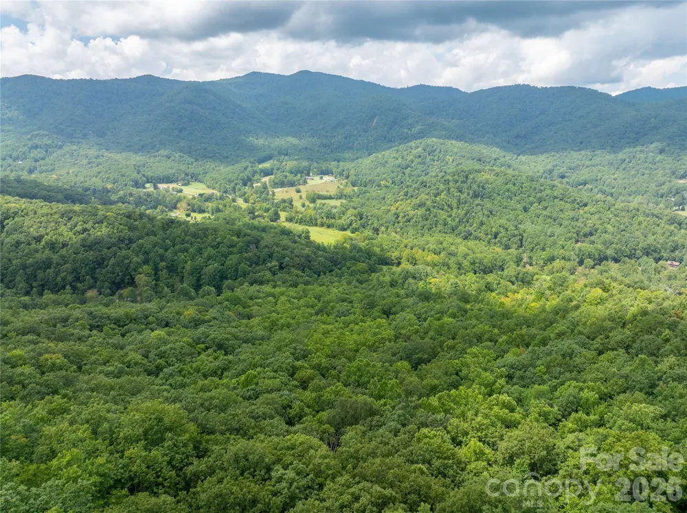 7777 Saw Branch Road Candler, NC 28715