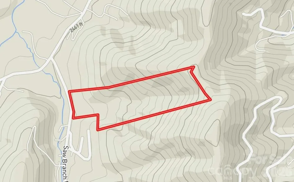 7777 Saw Branch Road Candler, NC 28715