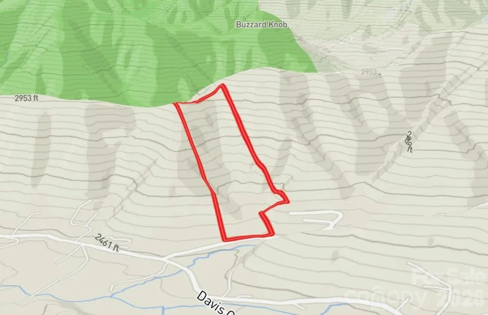 7777 Saw Branch Road Candler, NC 28715