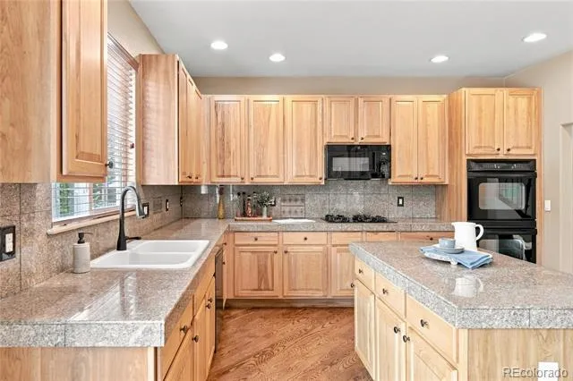 9723 Crowsley Court Parker, CO 80134