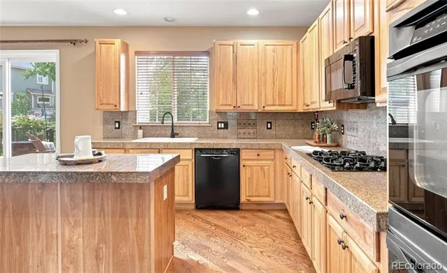9723 Crowsley Court Parker, CO 80134