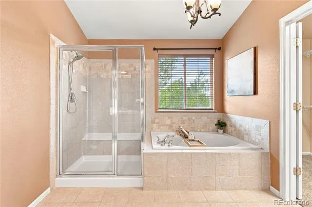 9723 Crowsley Court Parker, CO 80134