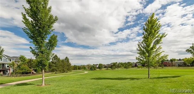 9723 Crowsley Court Parker, CO 80134