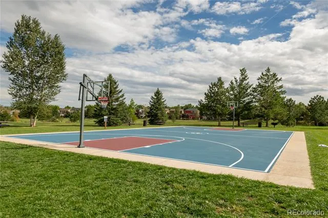 9723 Crowsley Court Parker, CO 80134