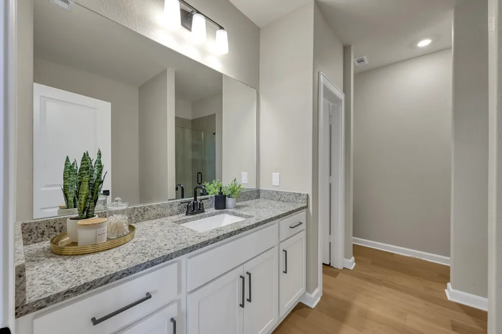 23110 Dadi Orchid Drive Hockley, TX 77447