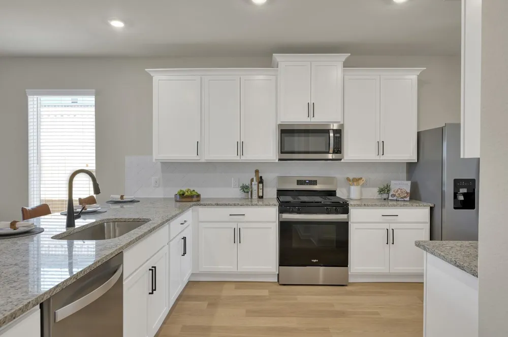 23110 Dadi Orchid Drive Hockley, TX 77447