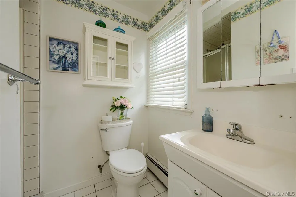 8 Curlew Place Massapequa, NY 11758