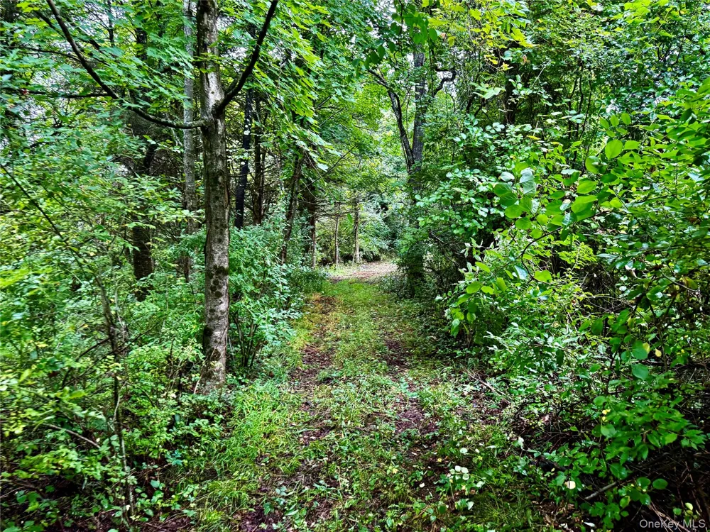 150 Weaver Road Elizaville, NY 12523
