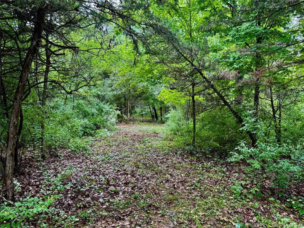 150 Weaver Road Elizaville, NY 12523