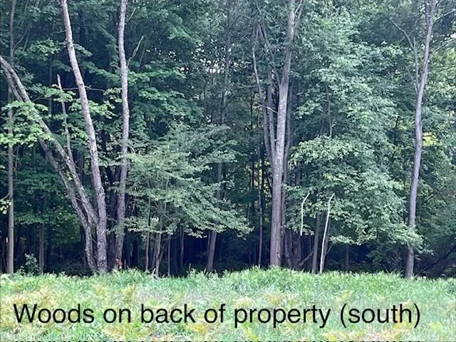 8975 Edgewater Drive Stanwood, MI 49346