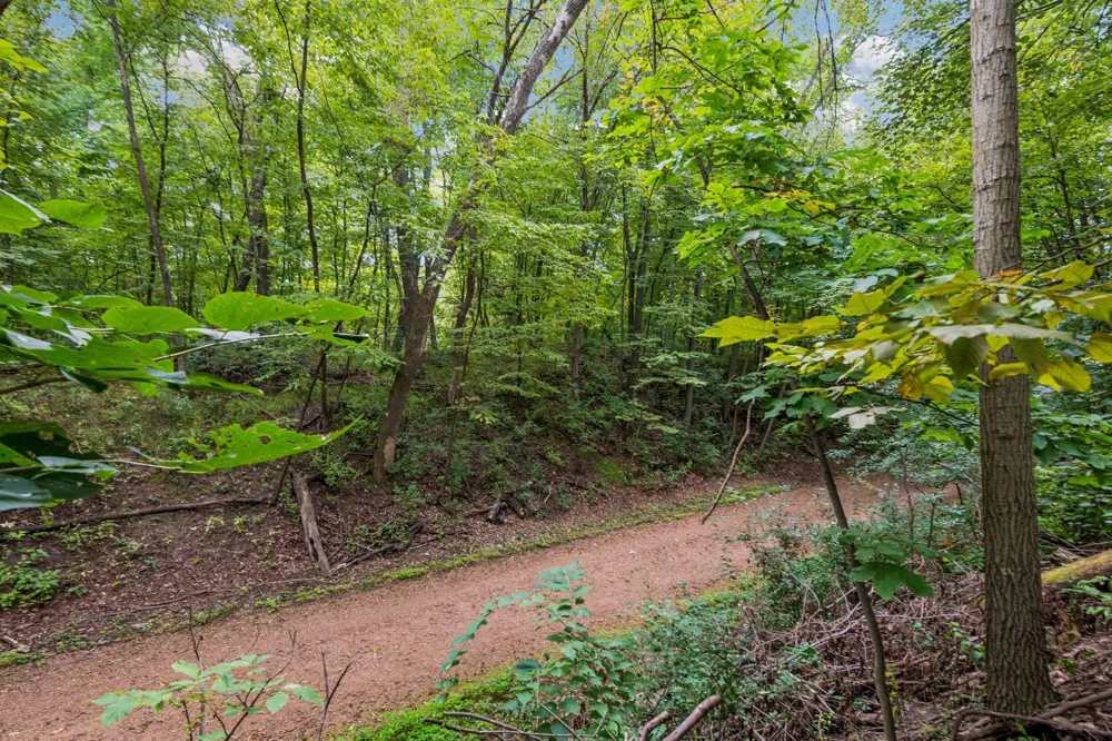 441 Pleasant Lane Chaska, MN 55318