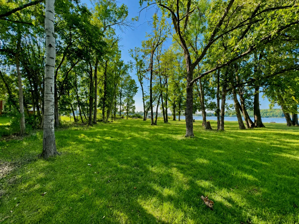 1815 Bridgeview Boulevard Detroit Lakes, MN 56501