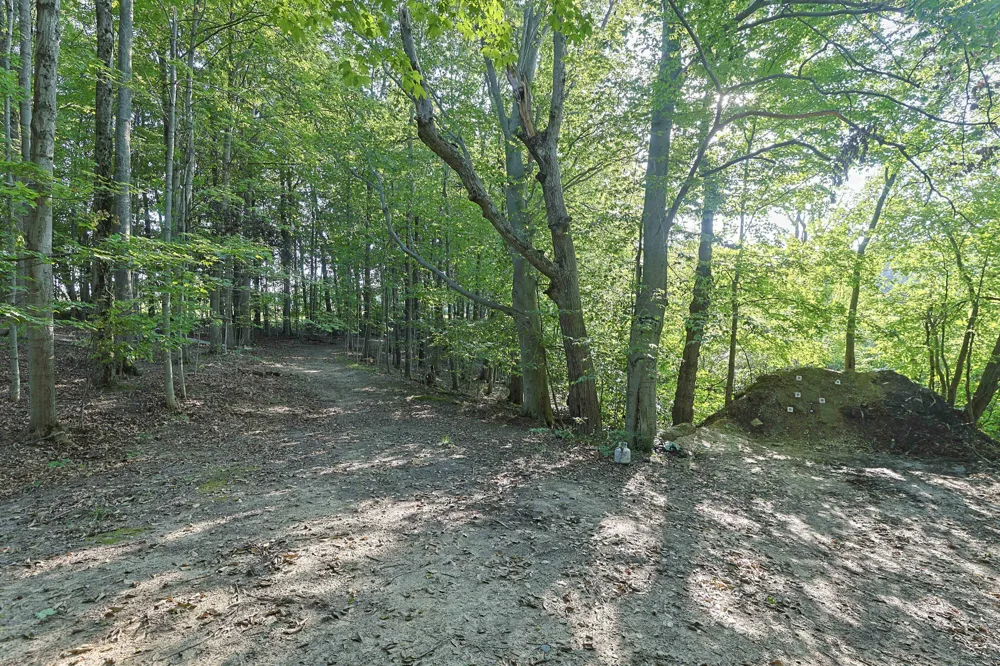 14910 Boyle Lake Road Buchanan, MI 49107
