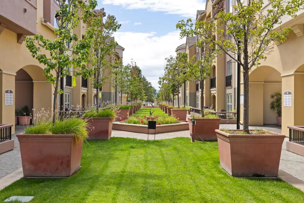1550 Technology Drive #3069 San Jose, CA 95110
