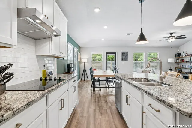 10738 YELLOWTAIL BLVD Boerne, TX 78006