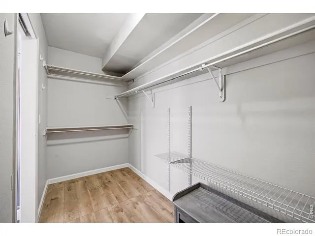 2837 Blackstone Drive Fort Collins, CO 80525