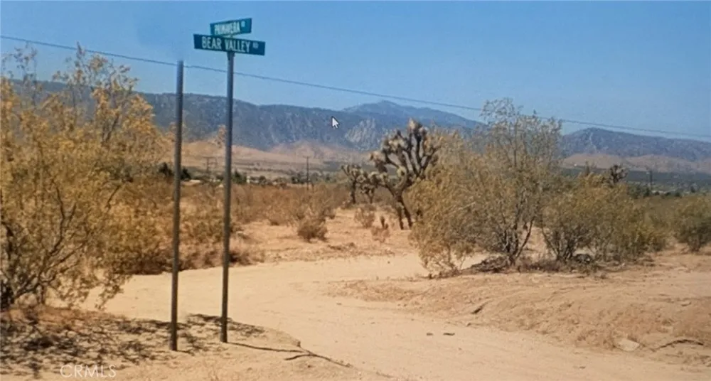 BEAR VALLEY RD/PRIMAVERA RD Pinon Hills, CA 92372