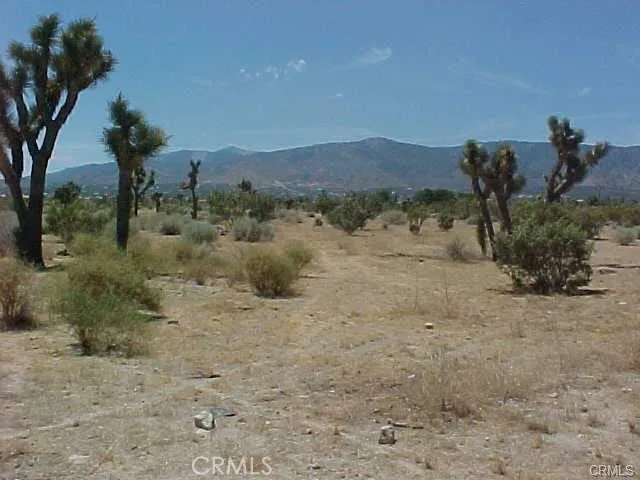 BEAR VALLEY RD/PRIMAVERA RD Pinon Hills, CA 92372