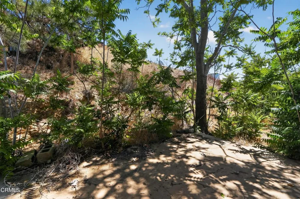 5145 Corradi Terrace Acton, CA 93510