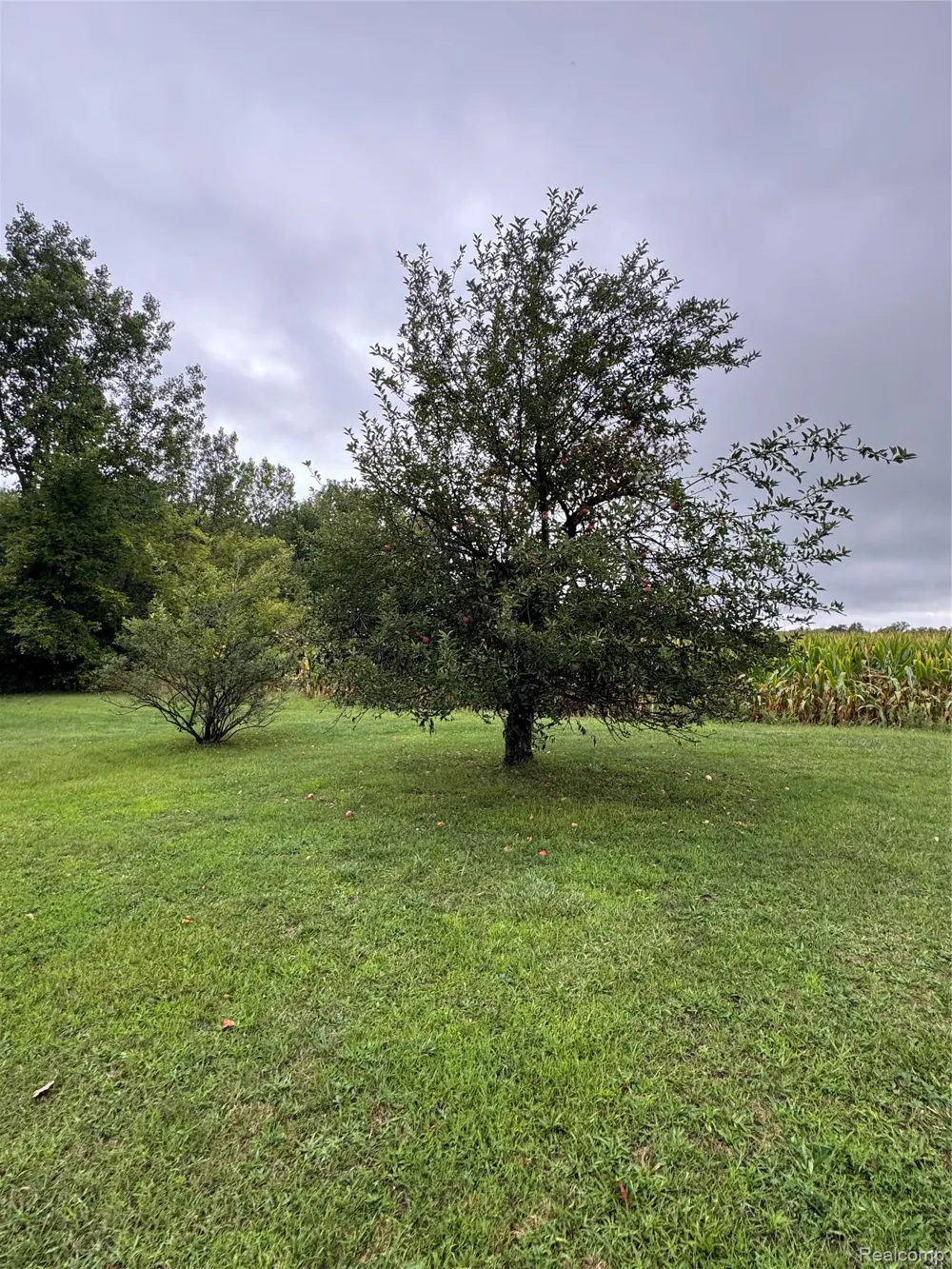 4272 Reid Road Mundy Township, MI 48473