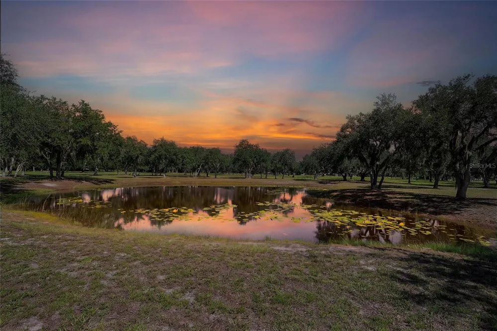 6200 VERNA ROAD Myakka City, FL 34251
