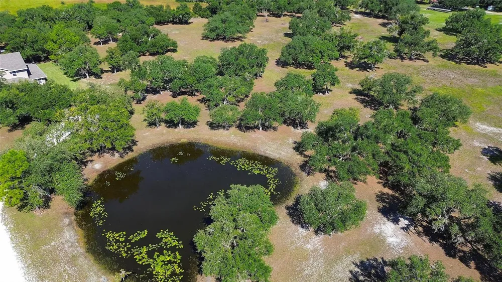 6200 VERNA ROAD Myakka City, FL 34251