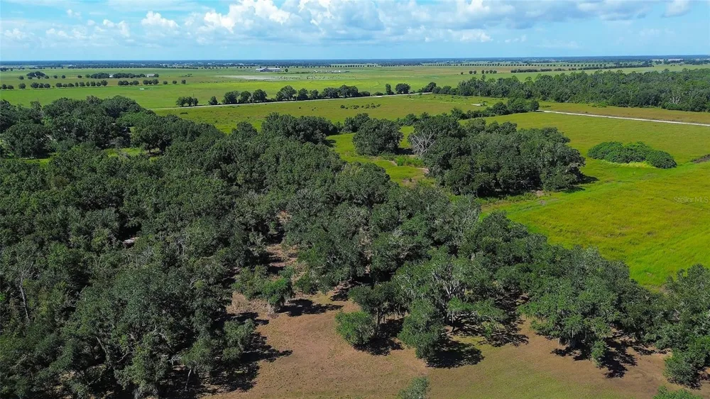 6200 VERNA ROAD Myakka City, FL 34251