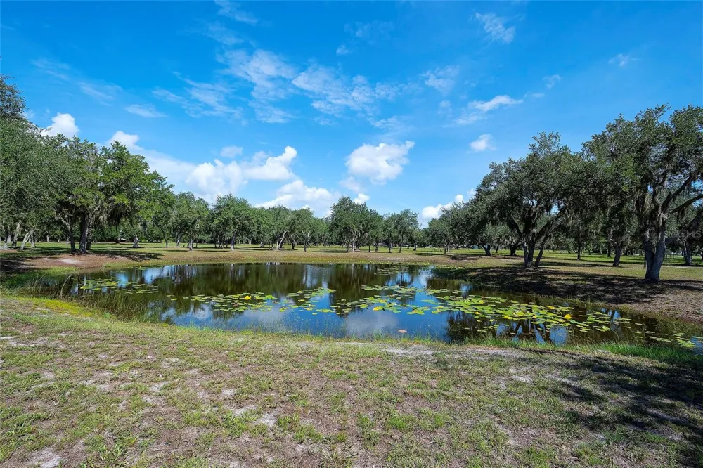 6200 VERNA ROAD Myakka City, FL 34251