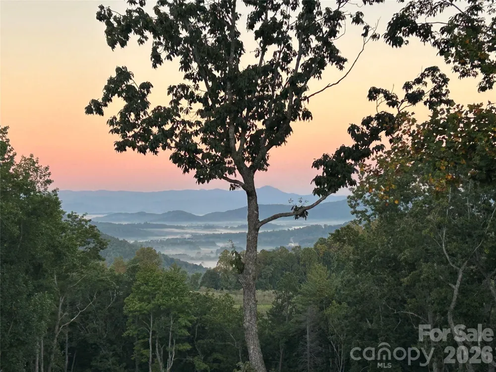 72 Jacks Paw Lane Hendersonville, NC 28792