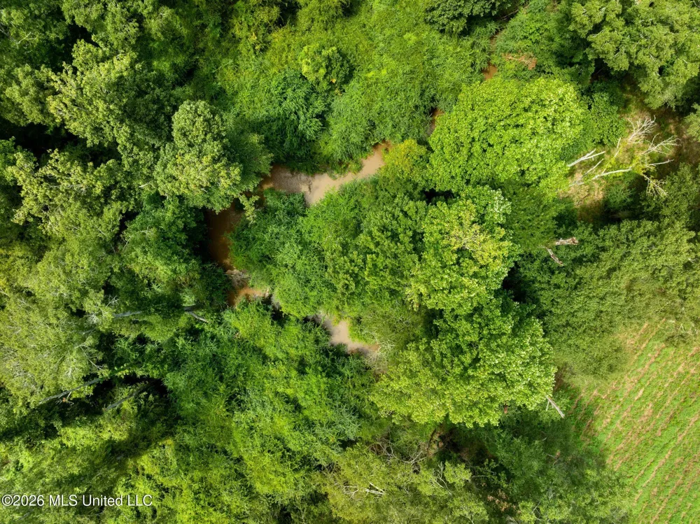 1189 Kenna Road Summit, MS 39666