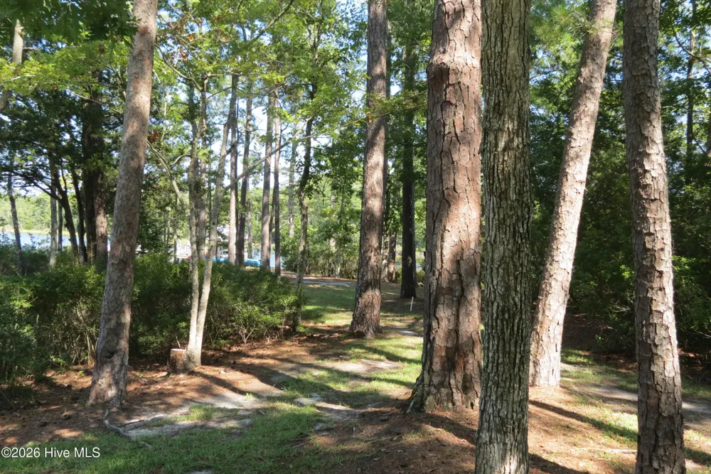 5633 Styron Drive Oriental, NC 28571