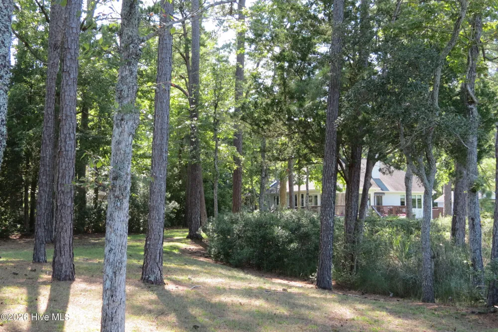 5633 Styron Drive Oriental, NC 28571