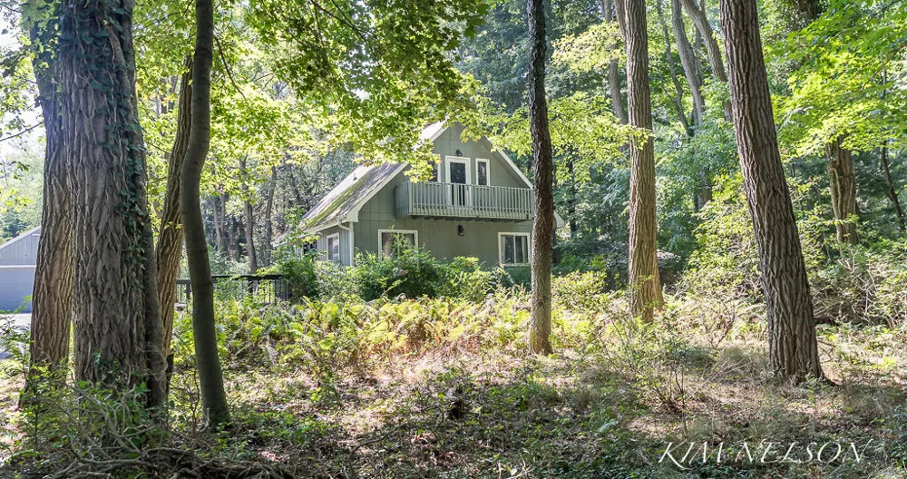6101 South Shore Drive Fruitland Township, MI 49461