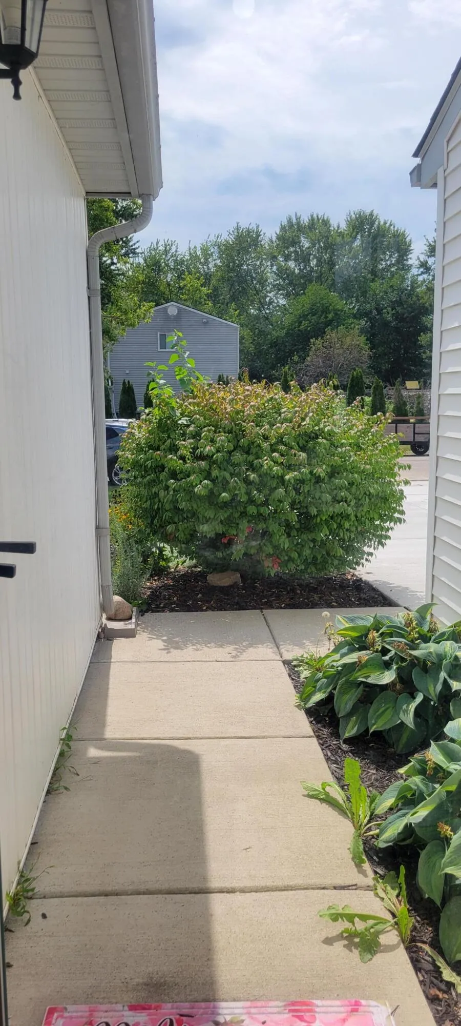 5465 New Meadow Drive Ypsilanti, MI 48197