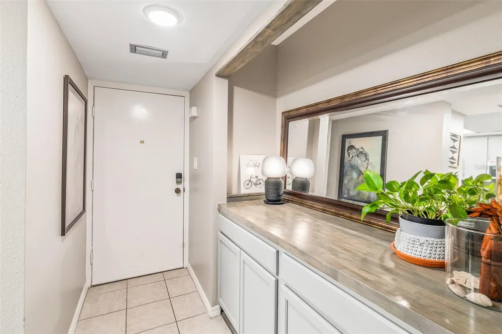 90 HIGHLAND AVENUE S #402 Tarpon Springs, FL 34689